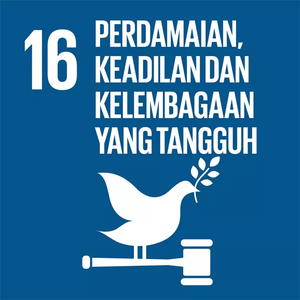 SDGs16