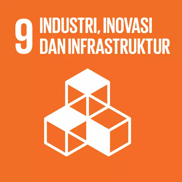 SDGs9